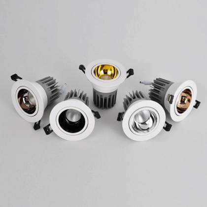 Premium Adjustable Down Light