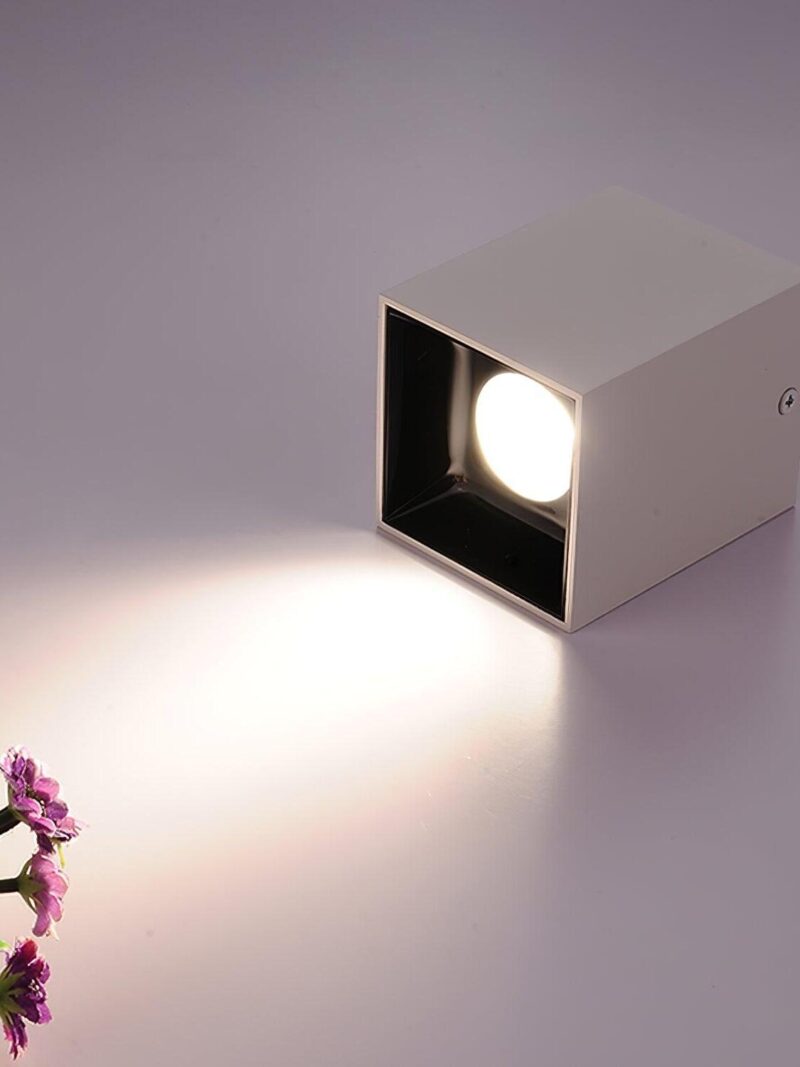 Cuboid Surface DownLight
