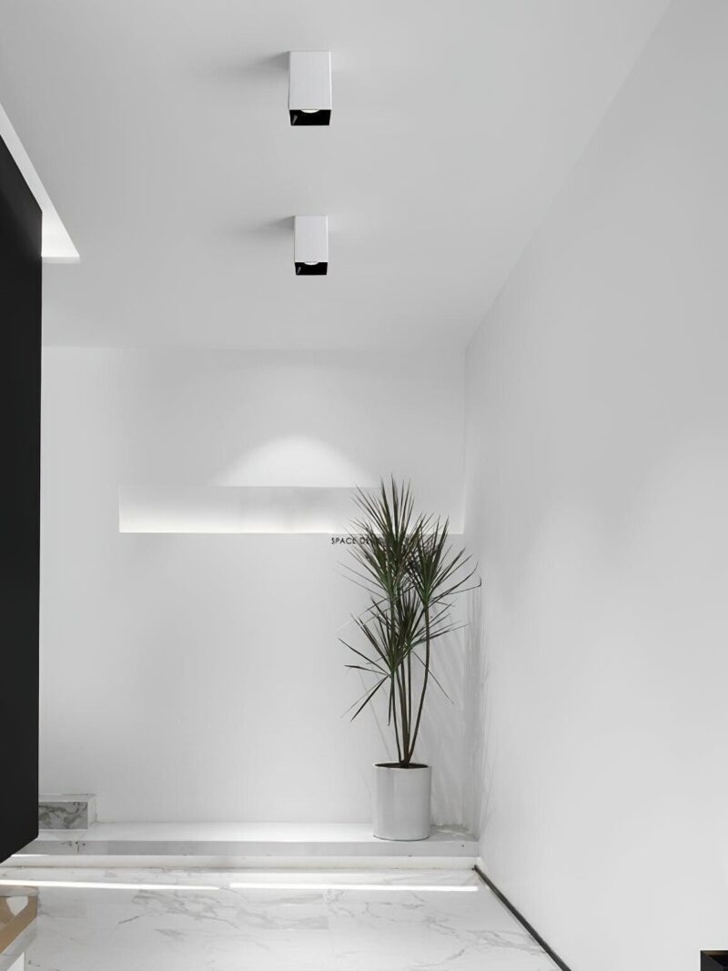 Cuboid Surface DownLight