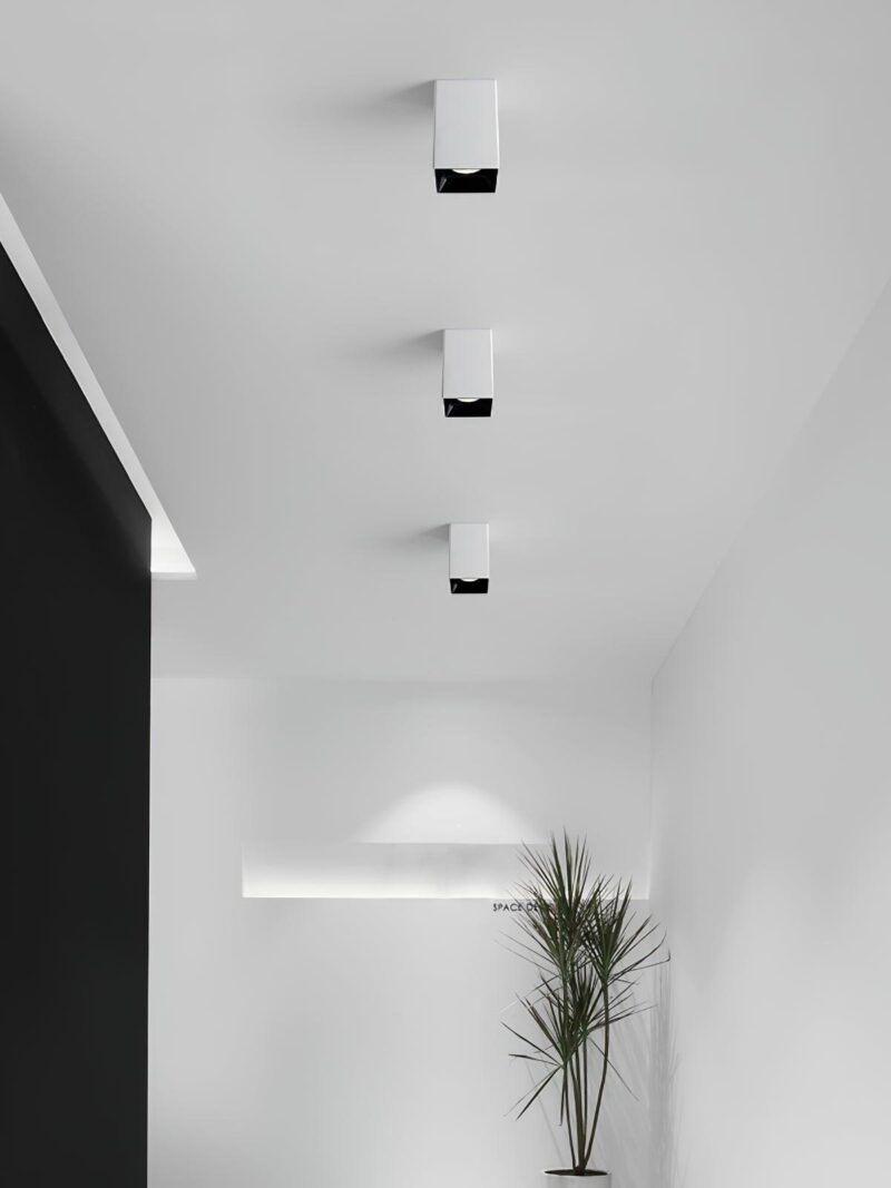 Cuboid Surface DownLight