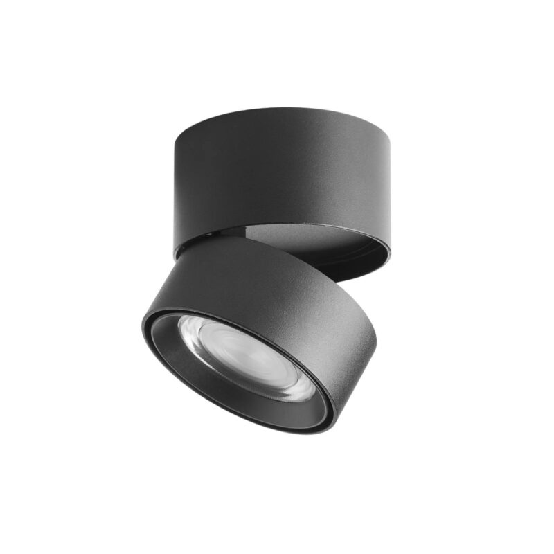 Artful Surface Mounted Spot Light