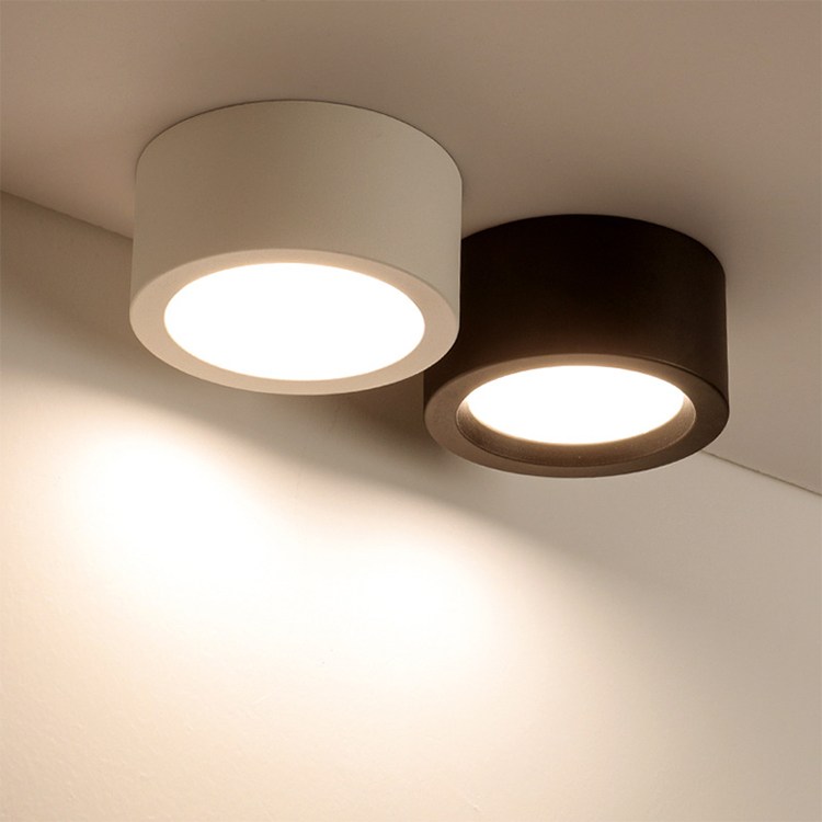 Ceiling Downlight