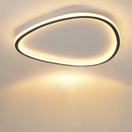 Contemporary Oval LED Flush Mount Ceiling Light